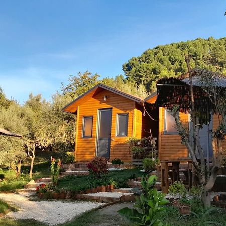 Bujtina Musta Guest House Berat Eksteriør bilde